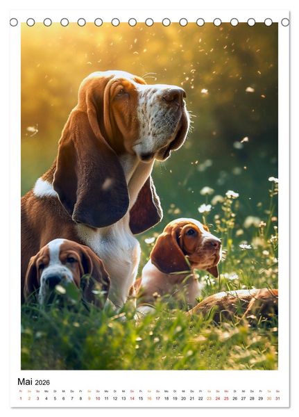 Produktbild: Hunde Lieblinge (Tischkalender 2026 DIN A5 hoch), CALVENDO Monatskalender