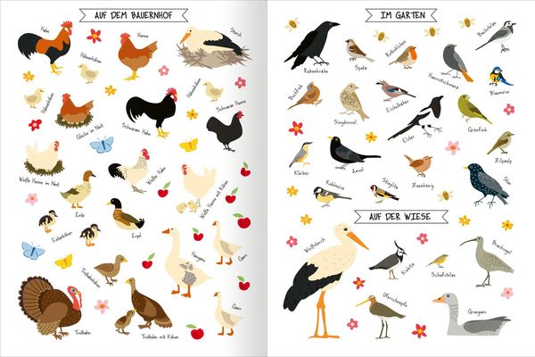 Produktbild: Naturforscher-Kids &ndash; Stickerheft V&ouml;gel