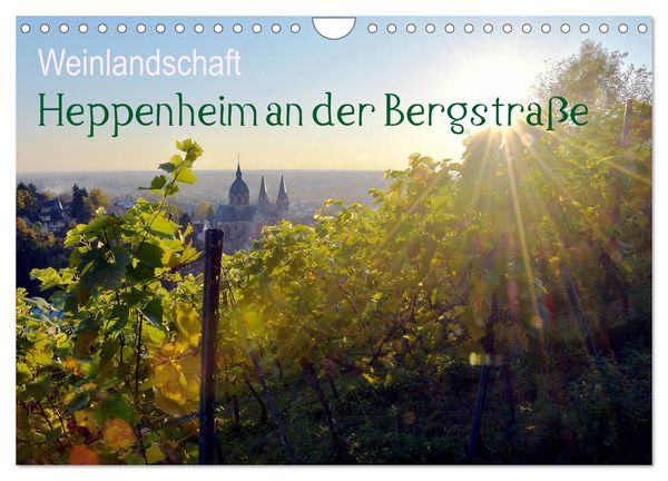 Weinlandschaft - Heppenheim an der Bergstraße (Wandkalender 2026 DIN A4 quer), CALVENDO Monatskalender