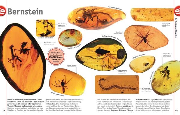 Produktbild: Unsere Welt in 1000 Bildern. Dinosaurier