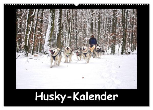 Produktbild: Husky-Kalender (Wandkalender 2026 DIN A2 quer), CALVENDO Monatskalender