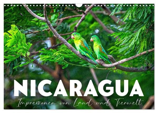 Nicaragua - Impressionen von Land und Tierwelt. (Wandkalender 2026 DIN A3 quer), CALVENDO Monatskalender