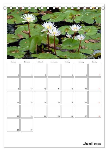 Produktbild: Venezuela - Land der Kontraste (Tischkalender 2026 DIN A5 hoch), CALVENDO Monatskalender