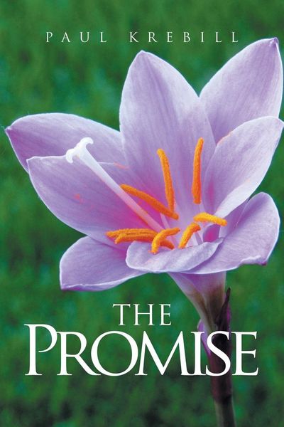 Produktbild: The Promise