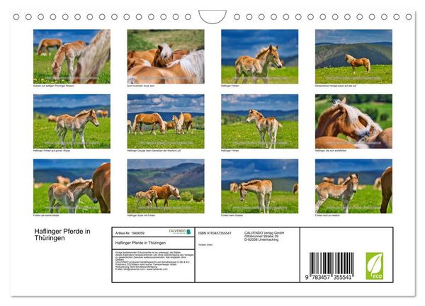 Produktbild: Haflinger Pferde in Th&uuml;ringen (Wandkalender 2026 DIN A4 quer), CALVENDO Monatskalender