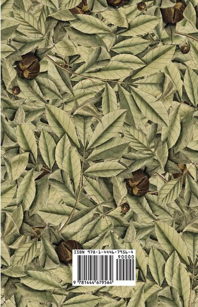 Produktbild: Locusts And Wild Honey