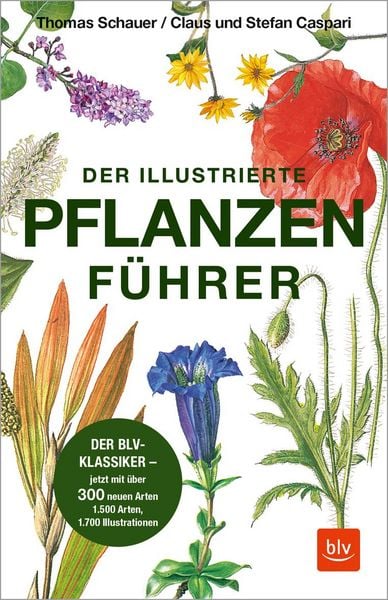Produktbild: Der illustrierte Pflanzenf&uuml;hrer