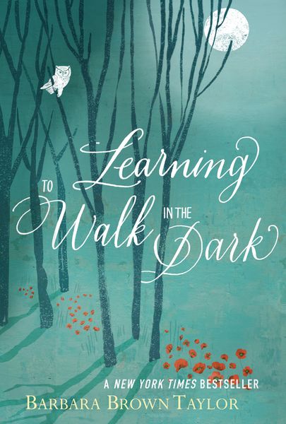 Produktbild: Learning to Walk in the Dark