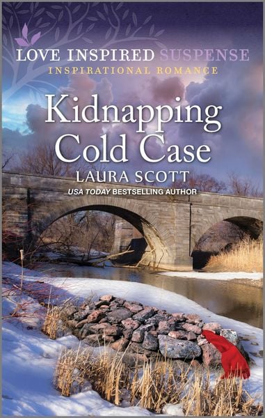 Produktbild: Kidnapping Cold Case