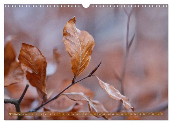 Produktbild: Die Poesie der Pflanzenwelt - Im Wandel der Jahreszeiten (Wandkalender 2026 DIN A3 quer), CALVENDO Monatskalender