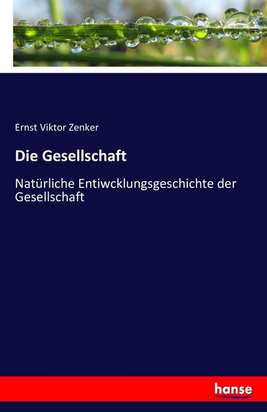 Die Gesellschaft, Taschenbuch von Ernst Viktor Zenker, Hansebooks, 9783742879318