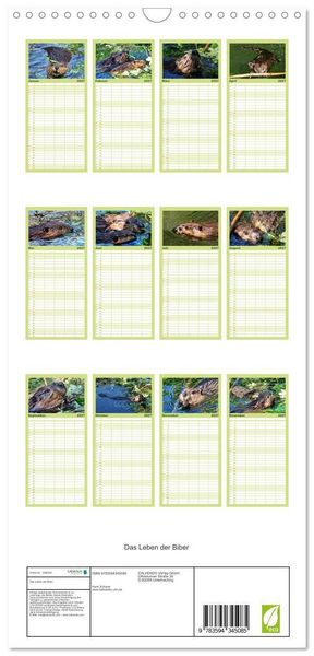 Produktbild: Familienplaner 2027 - Das Leben der Biber mit 5 Spalten (Wandkalender, 21 x 45 cm) CALVENDO