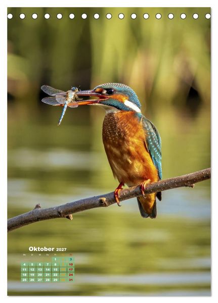 Produktbild: Bunte Eisv&ouml;gel (Tischkalender 2027 DIN A5 hoch), CALVENDO Monatskalender