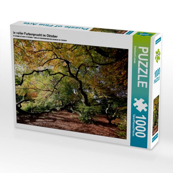 CALVENDO Puzzle Der Herbst in voller Farbenpracht | 1000 Teile Lege-Größe 64 × 48 cm Foto-Puzzle für glückliche Stunden