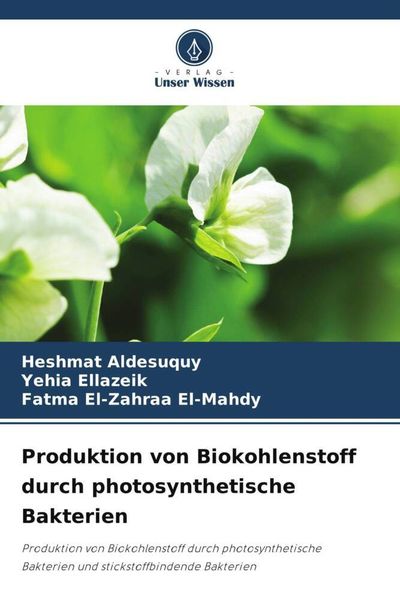Produktbild: Produktion von Biokohlenstoff durch photosynthetische Bakterien
