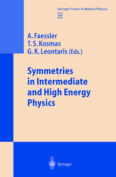 Produktbild: Symmetries in Intermediate and High Energy Physics