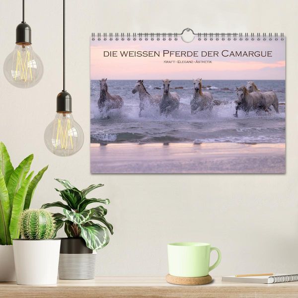 Produktbild: Die wei&szlig;en Pferde der Camargue (Wandkalender 2026 DIN A4 quer), CALVENDO Monatskalender