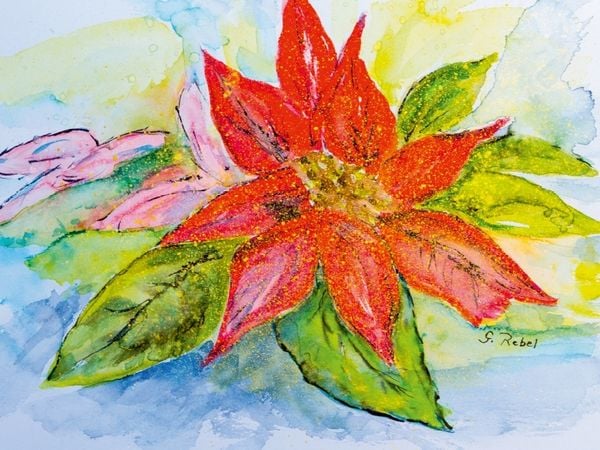 Produktbild: CALVENDO Puzzle Weihnachtsstern 1000 Teile Puzzle quer | 1000 Teile Lege-Gr&ouml;&szlig;e 64 &times; 48 cm Foto-Puzzle f&uuml;r gl&uuml;ckliche Stunden