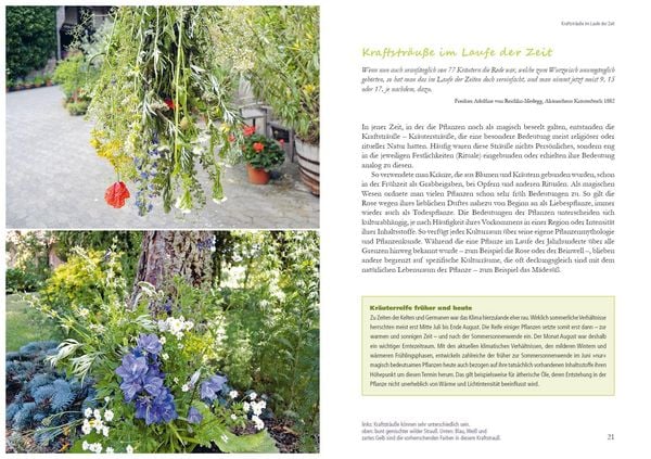 Produktbild: Kraftstr&auml;u&szlig;e