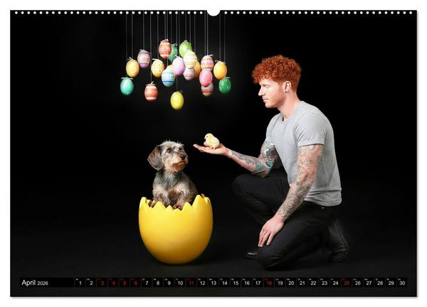 Produktbild: Coole Typen - Rauhaardackel (hochwertiger Premium Wandkalender 2026 DIN A2 quer), Kunstdruck in Hochglanz