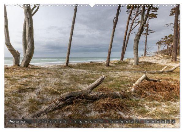 Produktbild: Dar&szlig;-Zingst Naturimpressionen (Wandkalender 2026 DIN A2 quer), CALVENDO Monatskalender