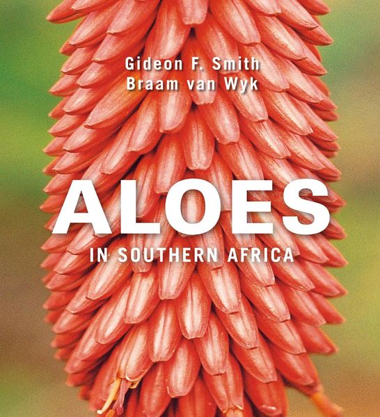 Produktbild: Aloes in Southern Africa