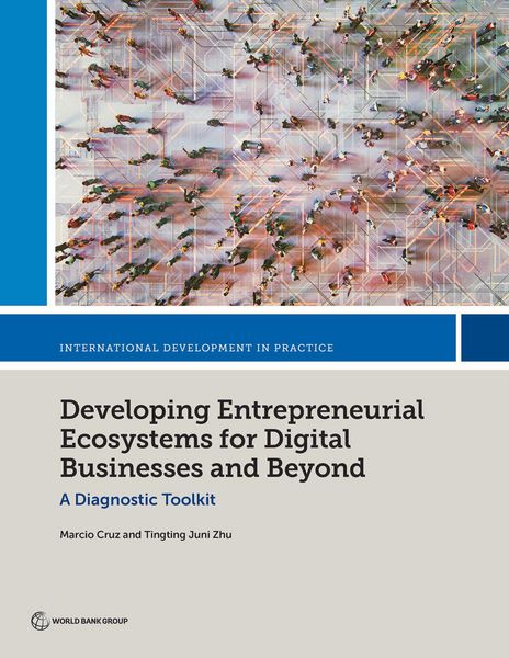 Produktbild: Developing Entrepreneurial Ecosystems for Digital Businesses and Beyond