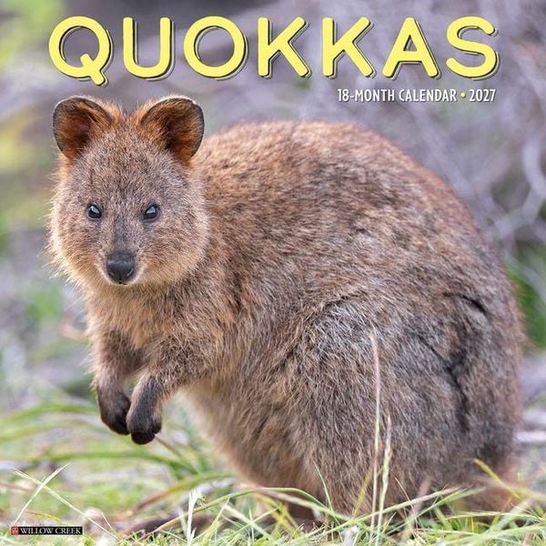 Produktbild: Quokkas 2027 12 X 12 Wall Calendar