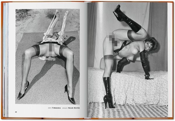 Produktbild: The Little Big Book of Pussy