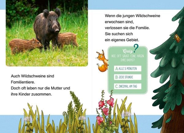 Produktbild: Komm mit uns in den Wald