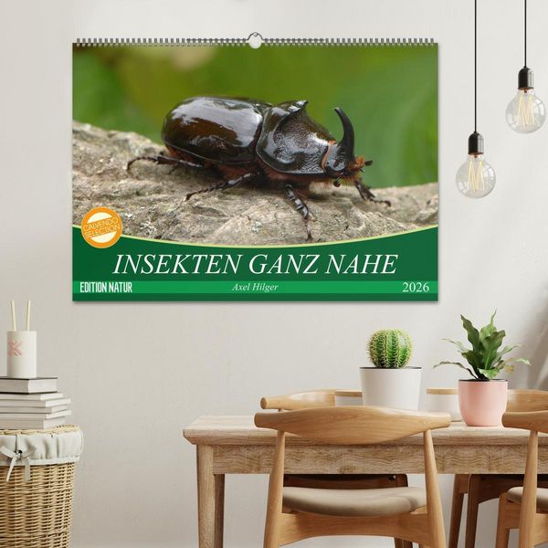 Produktbild: INSEKTEN GANZ NAHE (Wandkalender 2026 DIN A2 quer), CALVENDO Monatskalender