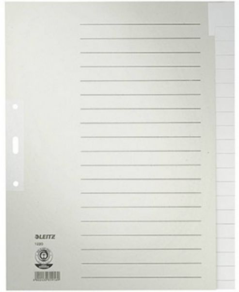 Produktbild: Leitz 1220 Register DIN A4, &Uuml;berbreite blanko Tauenpapier Grau 20 Registerbl&auml;tter 12200085