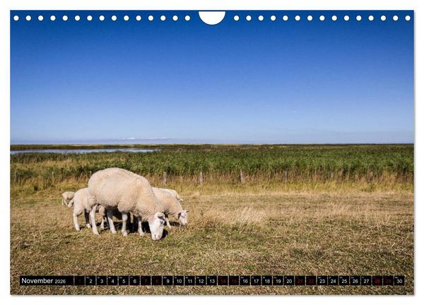 Produktbild: Insel Fehmarn - Impressionen eines Sommertages an der Ostsee (Wandkalender 2026 DIN A4 quer), CALVENDO Monatskalender