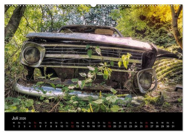 Produktbild: Rostlauben - vergessene Klassiker (Wandkalender 2026 DIN A2 quer), CALVENDO Monatskalender