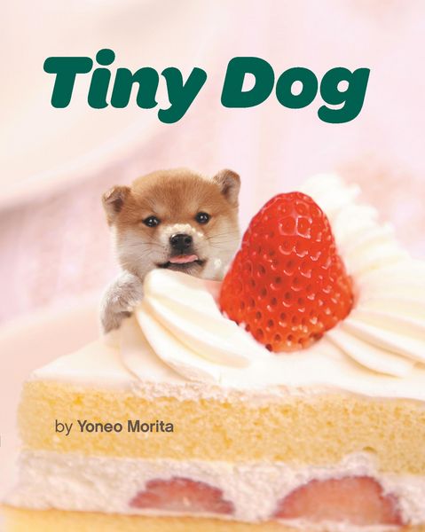 Produktbild: Tiny Dog