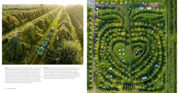 Produktbild: Feed the Planet