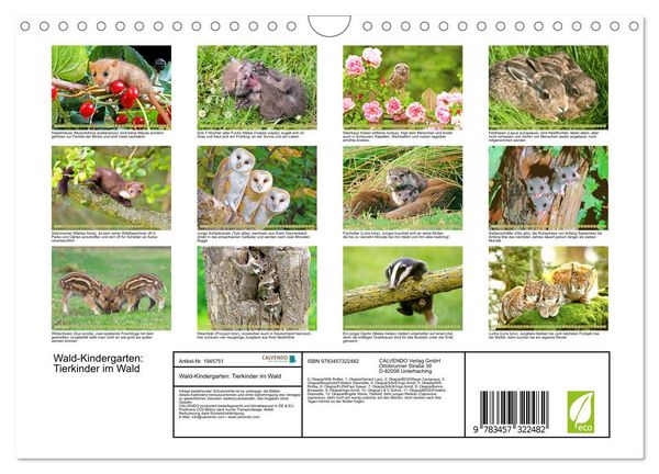 Produktbild: Wald-Kindergarten: Tierkinder im Wald (Wandkalender 2026 DIN A4 quer), CALVENDO Monatskalender