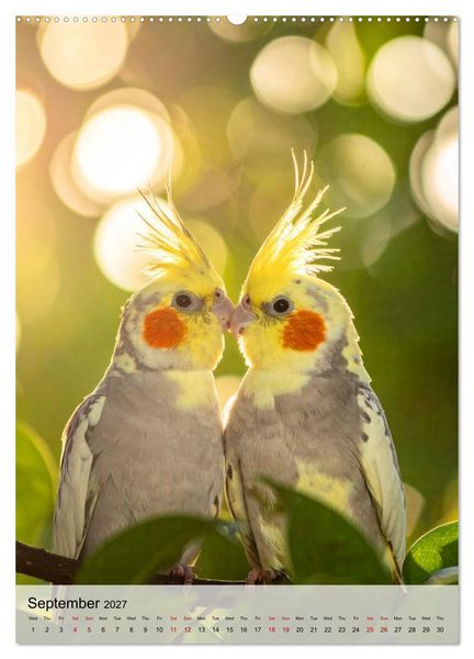 Produktbild: Cockatiel Dreams (High Quality Premium Wall Calendar 2027 DIN A2 portrait),CALVENDO 12 Month Wall Calendar