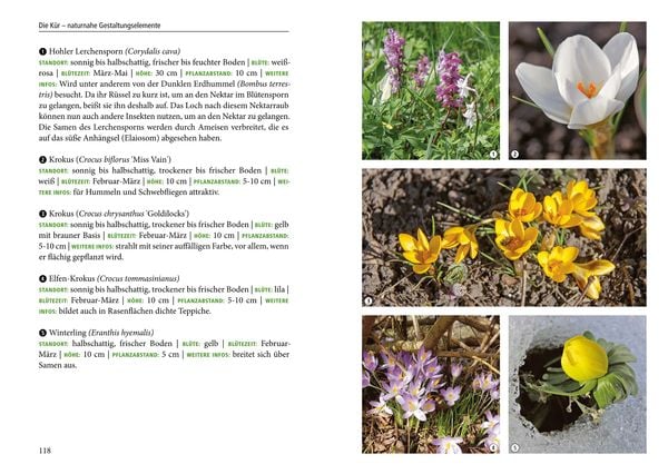 Produktbild: Unser naturnaher Kleingarten