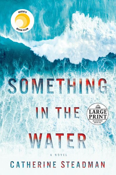 Produktbild: Something in the Water