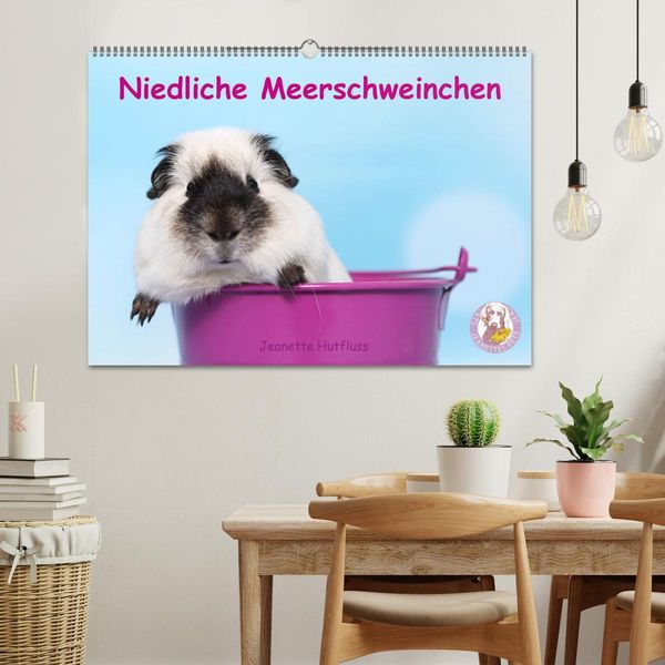 Produktbild: Niedliche Meerschweinchen (Wandkalender 2026 DIN A2 quer), CALVENDO Monatskalender