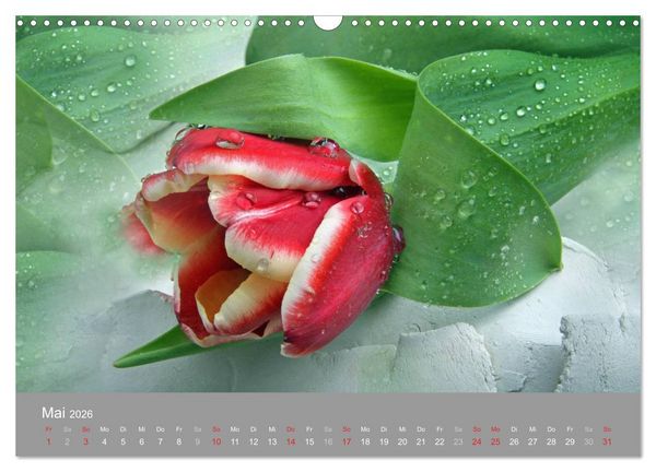 Produktbild: Floral (Wandkalender 2026 DIN A3 quer), CALVENDO Monatskalender