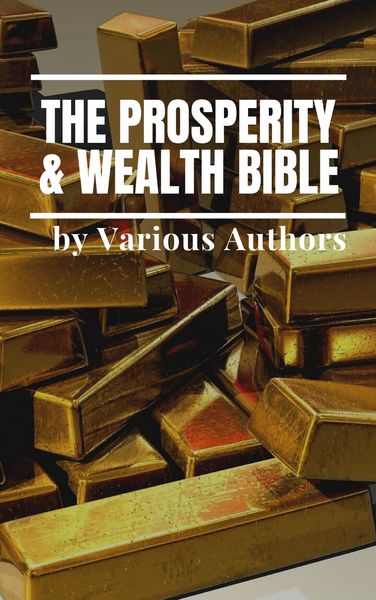 Produktbild: The Prosperity & Wealth Bible