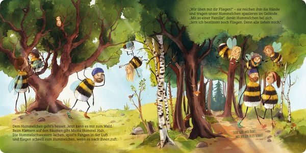 Produktbild: Flieg, Hummelchen, flieg!