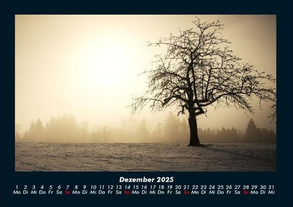 Produktbild: B&auml;ume 2025 Fotokalender DIN A4