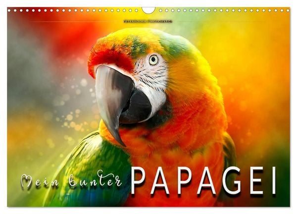 Produktbild: Mein bunter Papagei (Wandkalender 2026 DIN A3 quer), CALVENDO Monatskalender