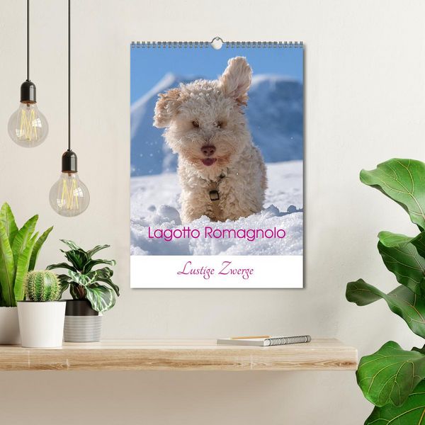 Produktbild: Lagotto Romagnolo - Lustige Zwerge (Wandkalender 2026 DIN A3 hoch), CALVENDO Monatskalender