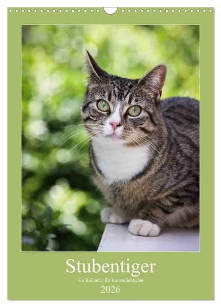 Produktbild: Stubentiger (Wandkalender 2026 DIN A3 hoch), CALVENDO Monatskalender