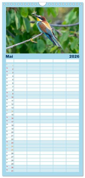 Produktbild: Familienplaner 2026 - Unsere Vogelvielfalt: Ein Schatz zum Entdecken und Sch&uuml;tzen mit 5 Spalten (Wandkalender, 21 x 45 cm) CALVENDO