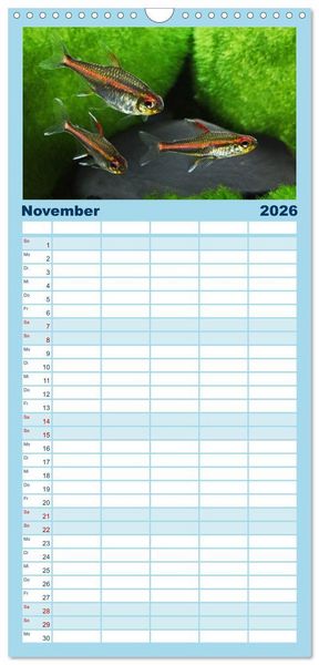 Produktbild: Familienplaner 2026 - Beliebte Fische der Welt mit 5 Spalten (Wandkalender, 21 x 45 cm) CALVENDO
